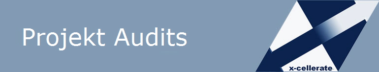Projekt Audits