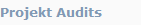 Projekt Audits